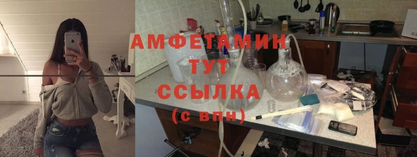 стаф Аркадак