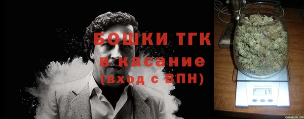 стаф Аркадак