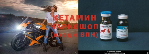 стафф Арсеньев