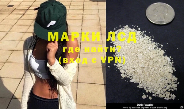 стаф Аркадак