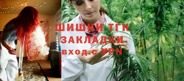 стафф Арсеньев