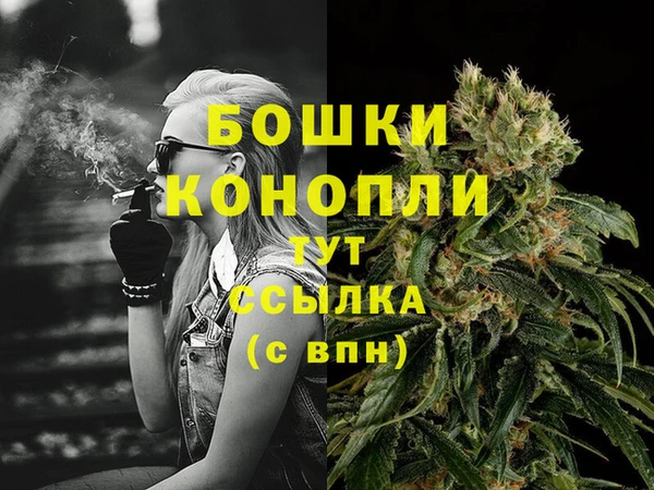 стаф Аркадак