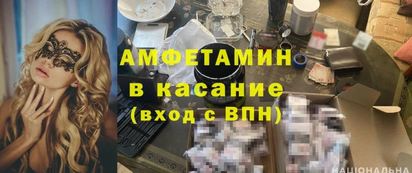 стаф Аркадак