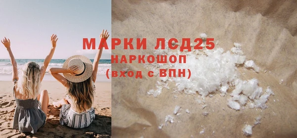 стаф Аркадак