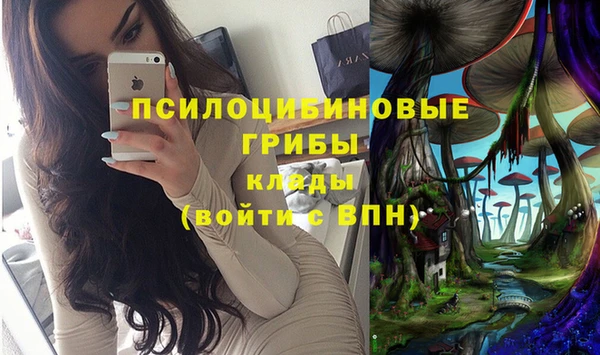 кокс Армянск