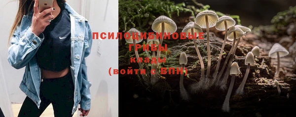 индика Баксан
