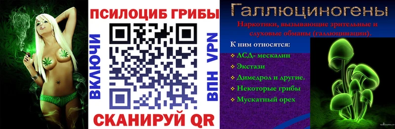 Псилоцибиновые грибы Psilocybe  где продают наркотики  МЕГА маркетплейс  Усть-Лабинск 